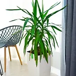 Apartman Arcadia Popular Sea View 169 правая