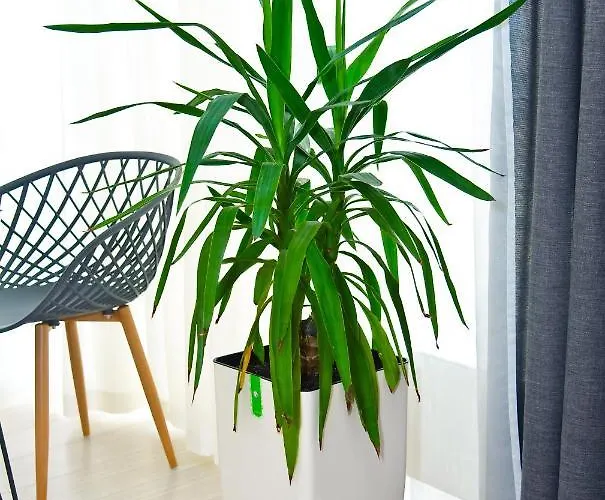 Διαμέρισμα Arcadia Popular Sea View 169 правая